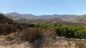 View while bicycling in Soledad Canyon, CA