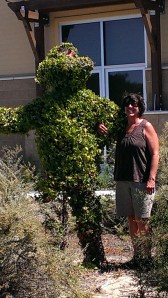 Sherry by bush in front of fire station in Lompoc, CA