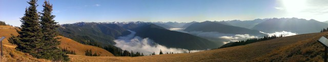 Hurricane Ridge in Olympic National Park, WA