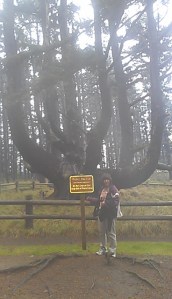 Sherry at Octopus Tree near Meares Beach, OR