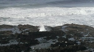 Cape Perpetua, OR