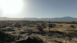View Bicycling in the Coachella Valley, CA