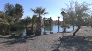 Bashford Pond with Fish Puppies