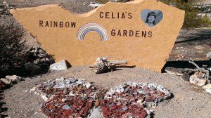 Celia's Rainbow Garden in Quartzsite, AZ