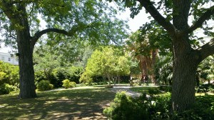 Inside The Alamo, TX