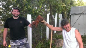Conquering the Tree Root!