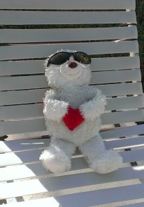 Louie catchin' some rays