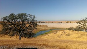 California drought for others.