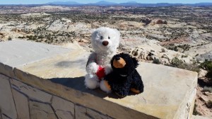 Louie and his new buddy Lil Bear had a great time together