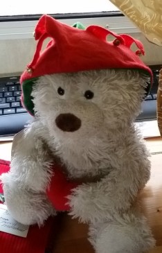 2015-12-24 12.45.36 Louie dressed for Christmas at Bashford Hot Mineral Spa edited