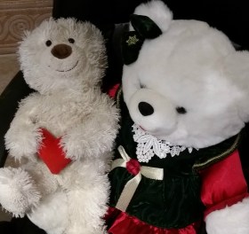 2016-01-27 16.56.56 Louie and Honey in Tucson edited