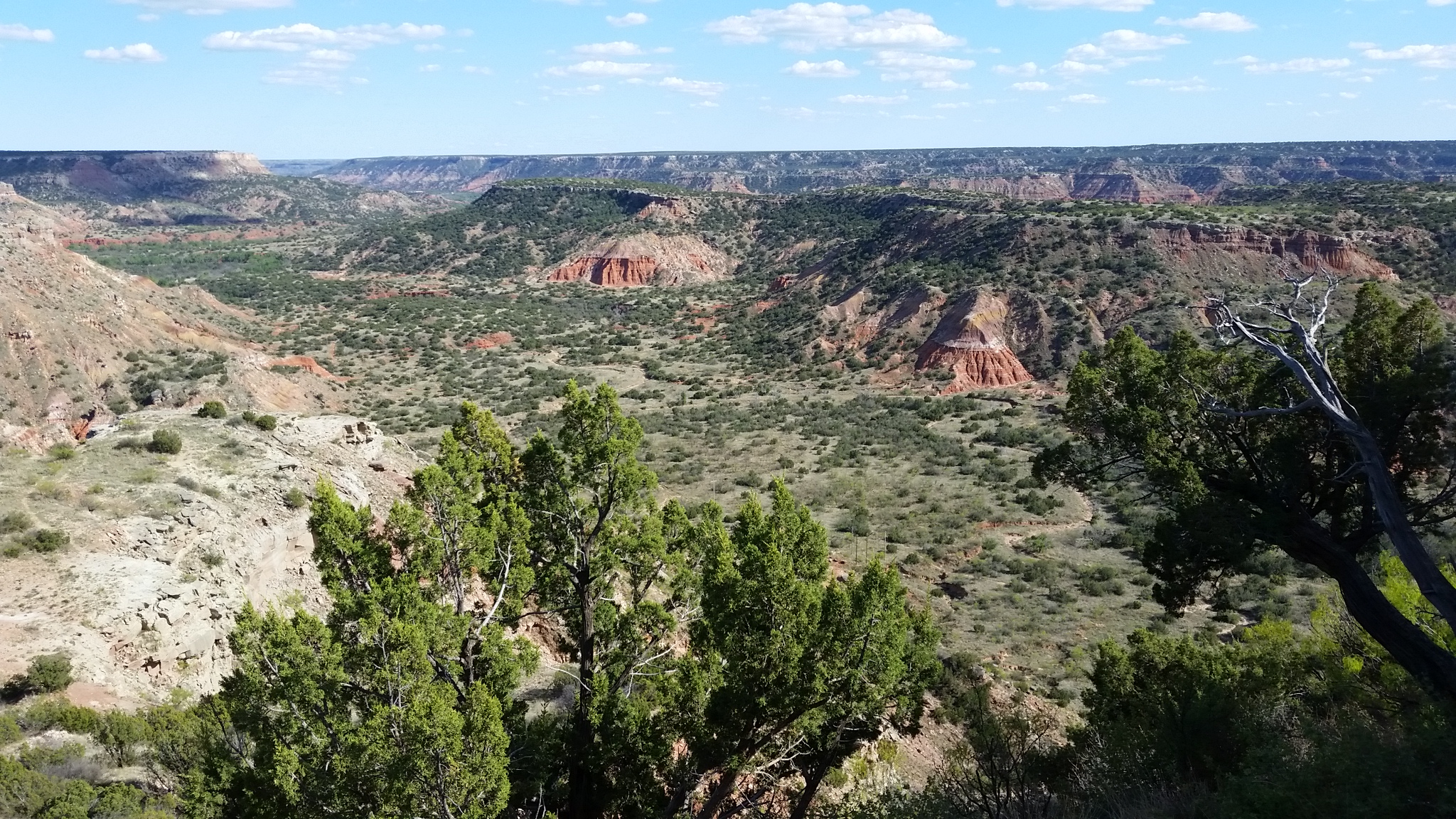 2016-04-21 17.25.31 Palo Dura State Park TX